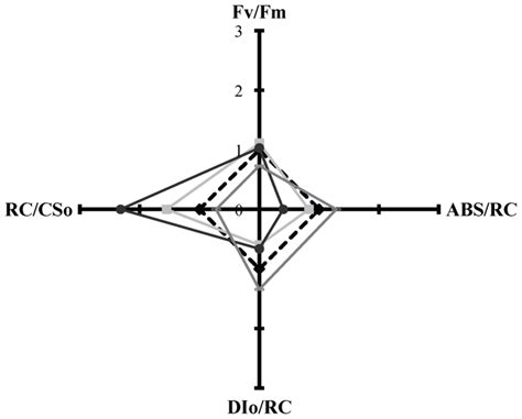 p-Cresol impact on the molecular structure and function of the ...