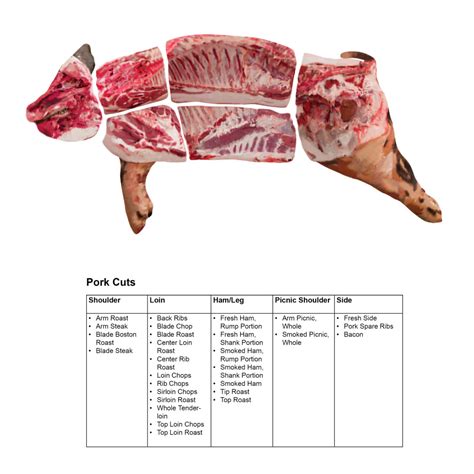 Beef and Pork 3D Meat Cuts Poster - Realityworks