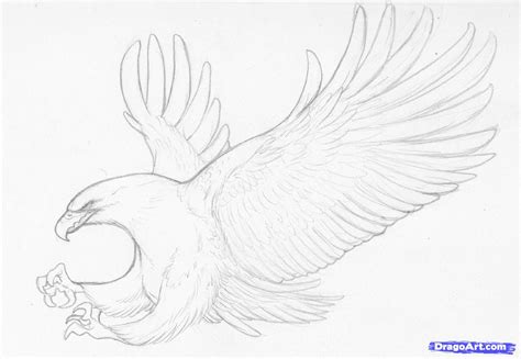 Simple Flying Bird Drawing at GetDrawings | Free download