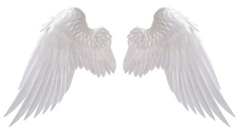 Free Transparent Angel Wing, Download Free Transparent Angel Wing png images, Free ClipArts on ...