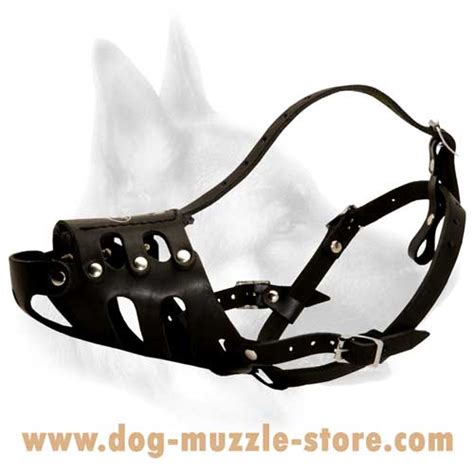 Buy Adjustable Leather Dog Muzzle | Air Ventilation