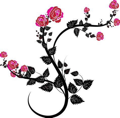 Vines clipart rose, Vines rose Transparent FREE for download on ...