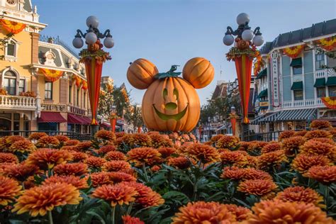 Everything You Need to Know About Disneyland's New Halloween Party