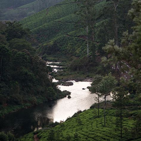 About Valparai – Briar Tea Bungalows