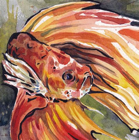 Print of Orange Betta Fish Reproduction of Original - Etsy