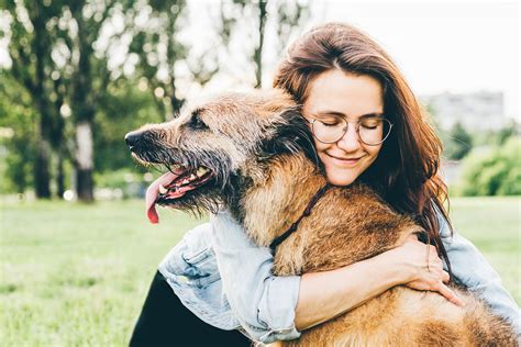 Senior Dog Care: How Aging Impacts Your Dog's Health – ImpriMed