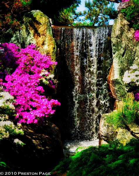 Scenes of St. Louis: Waterfall, Japanese Garden