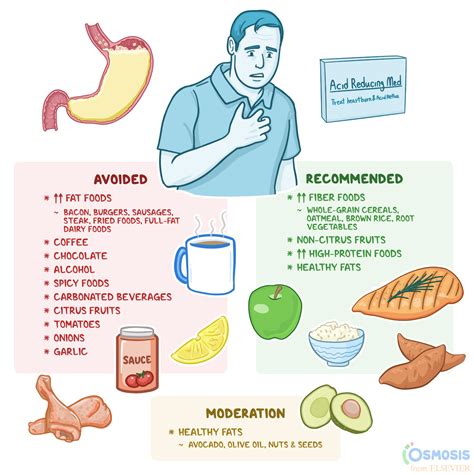 Acid Reflux Diet: What Is It, Foods to Eat, Foods to Avoid, and More | Osmosis