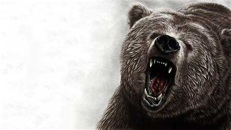 View 12 Grizzly Bear Hd Wallpaper - quoteqrecent