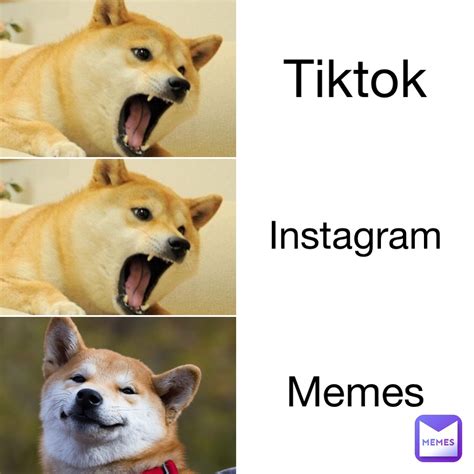 Tiktok Instagram Memes | @mrtoopro | Memes