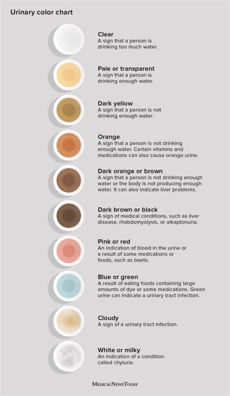 Urine color chart: Healthy colors and when to seek help