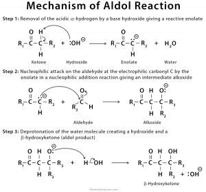 Aldol Reaction: Definition, Example, Mechanism & Application