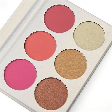 Supply 6 Color Blush And Bronzer Private Label Blush Palette Wholesale Factory - Shenzhen Mola ...