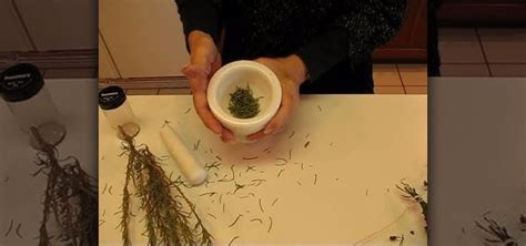 How to Properly store and care for home dried herbs and spices « Gardening :: WonderHowTo