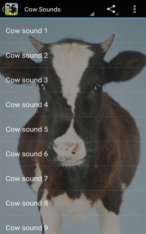 Cow Sounds - App on Amazon Appstore