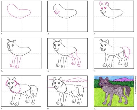 How To Draw A Wolf Easy Step By Step Drawing Guides In 2020 Drawing | Images and Photos finder