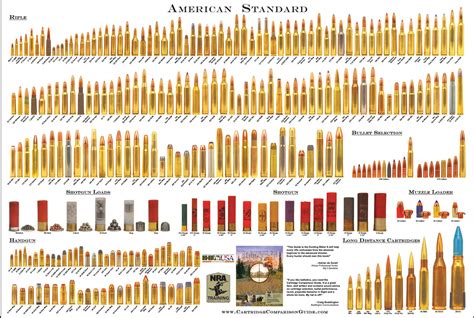 Ammunition Caliber Size Chart Ammunition Size Chart By Ws-cl