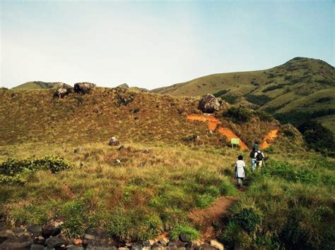 Doddabetta Peak Ooty: Nature’s Hidden Gem