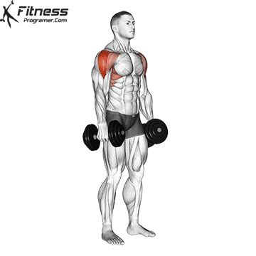 How To Do Dumbbell Lateral Raise - Benefits, Muscles Worked