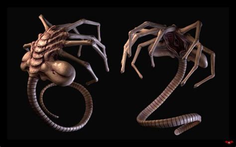 ¿Cuántas especies de Facehugger existen? El alien que inspiró al ‘aguijón pica jopo’