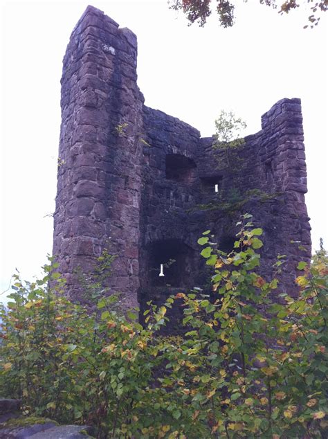 Expat in Germany: Hiking in the Black Forest