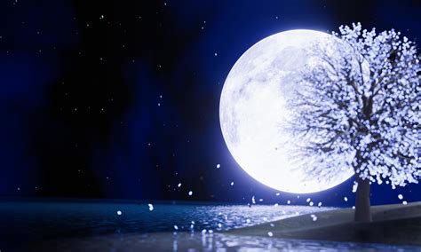 full blue moon In the night sky there are stars in the sky. Super Moon in the middle of the sea ...