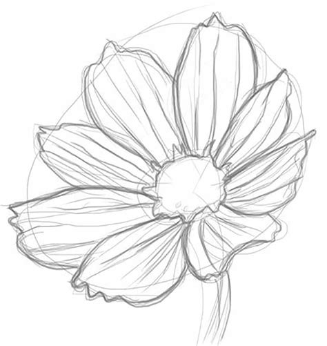 Realistic flower drawing, Drawings, Flower line drawings