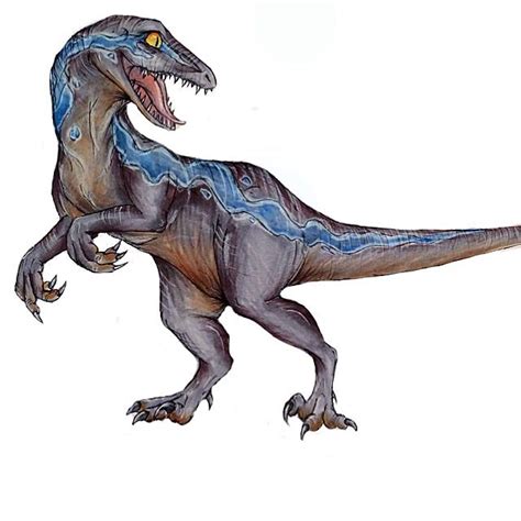 17 Best images about BLUE the velociraptor on Pinterest | Jurassic world, Sketchbooks and ...