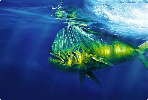 Mahi-mahi. Dolphin fish. Wall Art Canvas. Canvas Prints. Digital Art by Wade Rosenbloom - Pixels