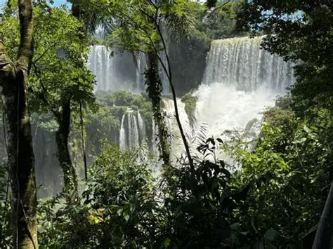 Best Wildlife Trails in Iguazú National Park | AllTrails