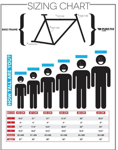 Bike Size Chart: How To Choose The Right Bicycle ( 3 Step ) - BikerSeason | Bike frame, Fixie ...