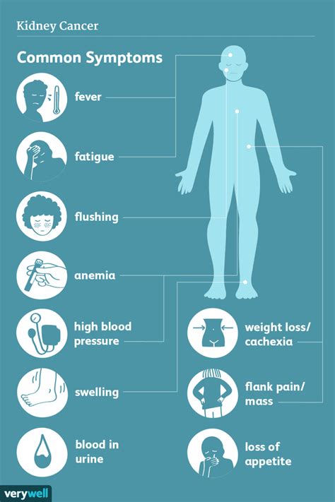 Kidney Cancer: Signs, Symptoms, and Complications