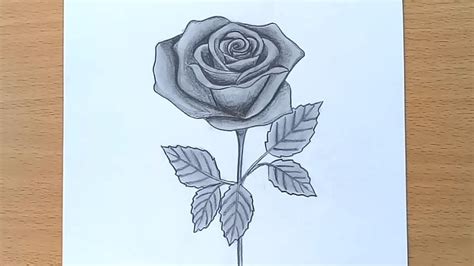 How To Draw A Rose With Pencil Step By Step