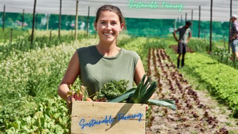 Sustainable Farming- A Comprehensive Guide to Environmentally Friendly Agriculture - Marketingno