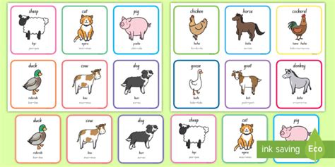 Animals Sounds & Pictures | Te Reo Māori | NZ Primary