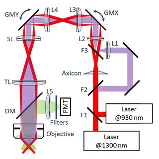 (PDF) Rapid volumetric imaging with Bessel-Beam three-photon microscopy