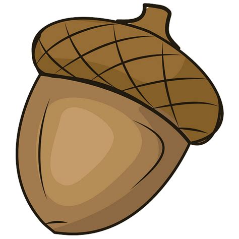 Acorn clipart, Acorn Transparent FREE for download on WebStockReview 2023