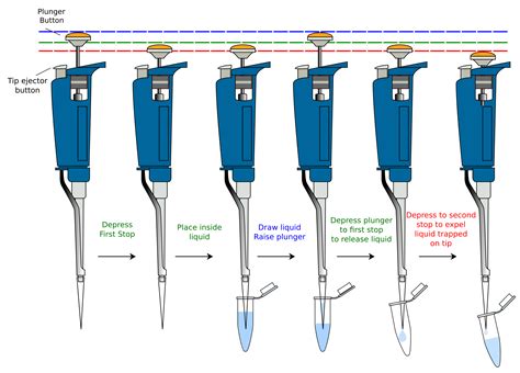 2.1.1.3: Units of Measure - Biology LibreTexts