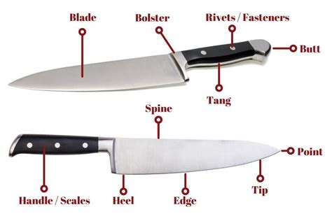 The Parts of a Knife — The Anatomy of Kitchen and BBQ Knives | Knife, Knife making, Kitchen knives