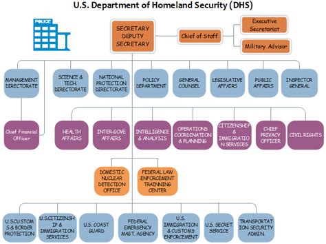 DHS Org Chart: More About U.S. Homeland Security | Org Charting