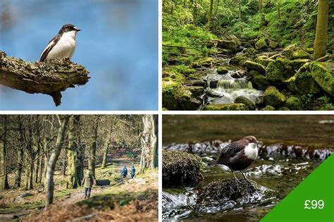 Waterfalls and Woodlands Photography Walk - Lets Go Peak District