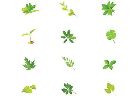 Green Leaves Vector Pack 57663 Vector Art at Vecteezy