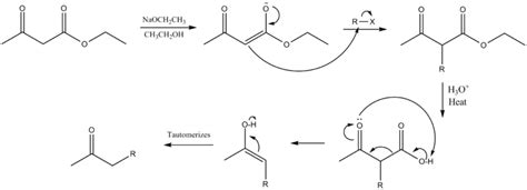 Acetoacetic ester synthesis - Wikipedia