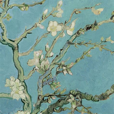 Almond Tree Van Gogh Wallpapers - Top Free Almond Tree Van Gogh ...