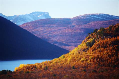 Norwegian Fall Colors Photograph by David Broome - Pixels