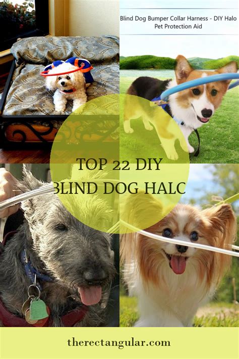 Top 22 Diy Blind Dog Halo - Home, Family, Style and Art Ideas