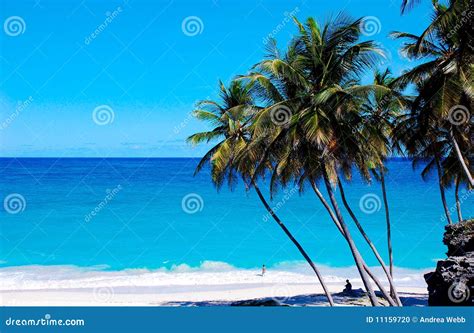 Bottom Bay Beach Barbados stock photo. Image of caribbean - 11159720