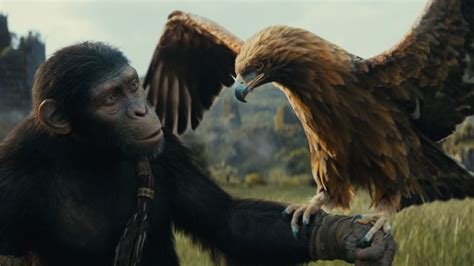 Kingdom of the Planet of the Apes Fragmanı: Icarus’a 5 Kala - Geekyapar!