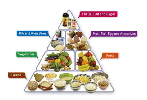 Food Variety: Nutrients, Types of Food and Importance