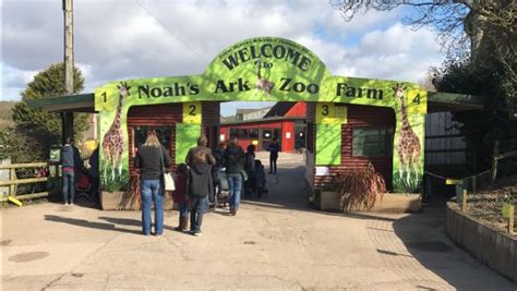 Noah's Ark Zoo Farm (Wraxall) - 2021 All You Need to Know BEFORE You Go (with Photos) - Tripadvisor